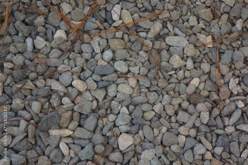 gravel unpaved area with pine needles gravel unpaved area with pine needles