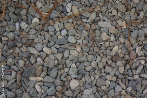 gravel unpaved area with pine needles