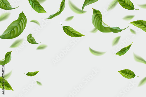 Flying tea leafs. Realistic green leaves floating motion on air wind, falling fresh forest leaf closeup, herbal nature agriculture healthy food exact vector illustration of flying fresh and motion
