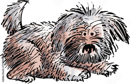 cute dog wagging tail