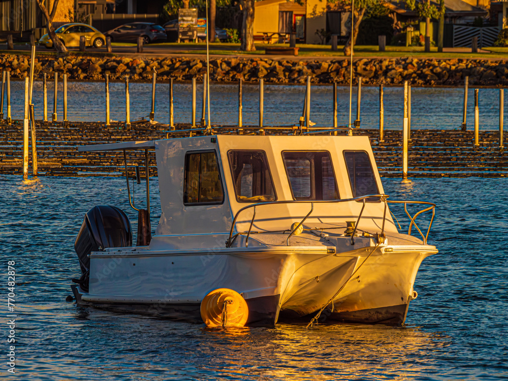Cabined Cat In Front Of Oyster Farm - obrazy, fototapety, plakaty 