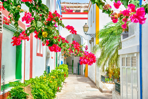 Sunny Summer Street With Bougainvillea Flowers in Puerto Mogan at Gran Canaria, Canary islands in Spain. photo