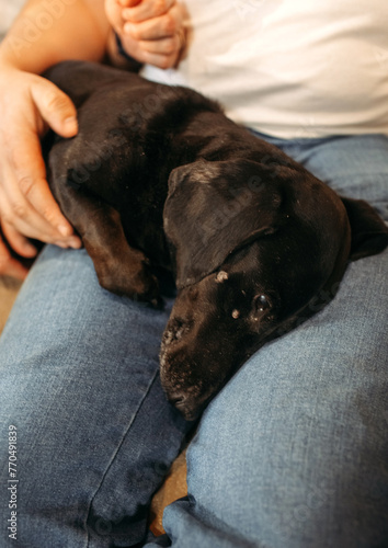 Man Sitting on Couch Holding Black Dog