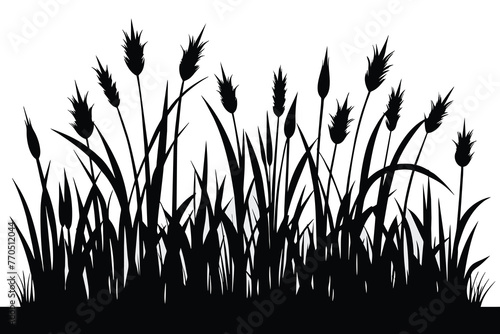 Black grass silhouettes isolated on a white background © mobarok8888