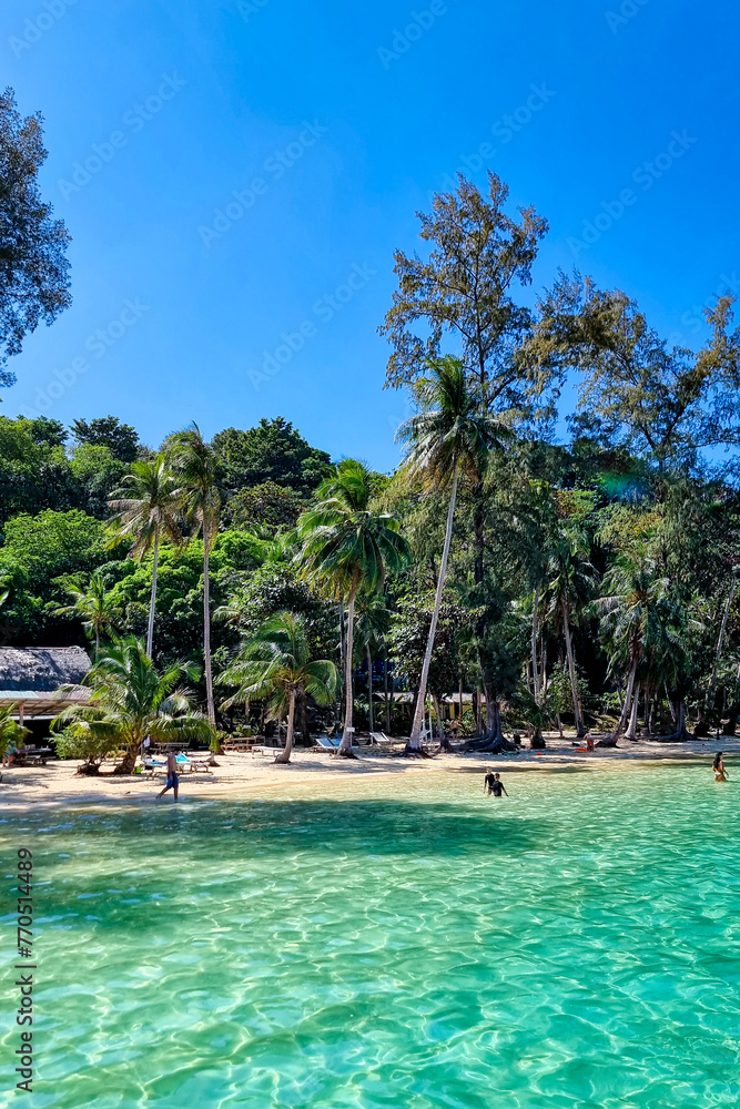 A picturesque beach dotted with lush trees and bustling with people enjoying the sun, sand, and surf