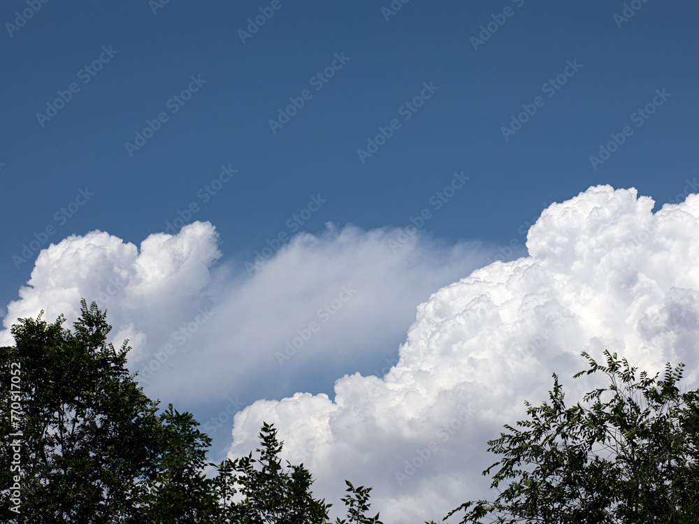clouds in the blue sky clouds in the blue sky
