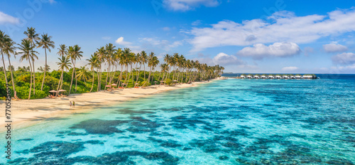 Beach beautiful coastline. Palm trees and Maldives sea. Pristine water is turquoise, white sand and green palm trees. Amazing nature landscape aerial paradise island. Coral reef sunny tourism vacation © icemanphotos