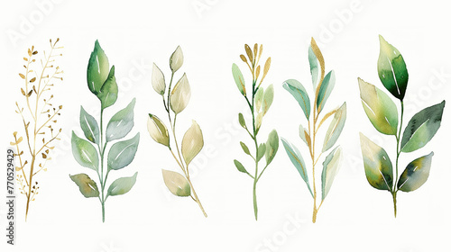 Watercolor eucalyptus leaves set illustration, soft green and gold tones on white background, botanical painting