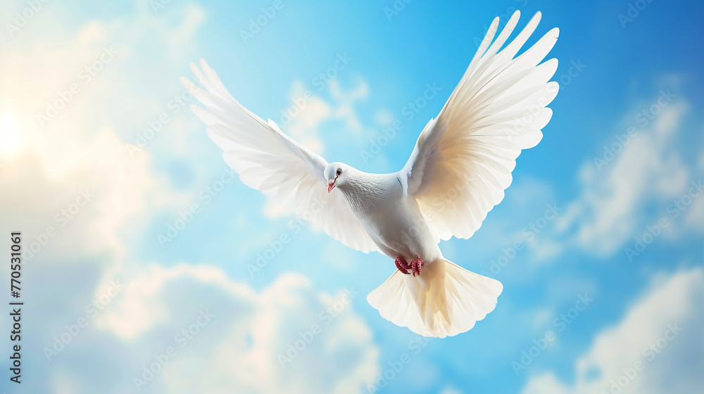 A white dove is flying in the sky