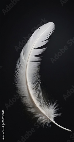 The silhouette of a soft, white feather stands strikingly against a pitch-black background, highlighting its fine structure. AI generation