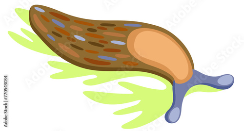 Slug on leaf. Vector isolated illustration