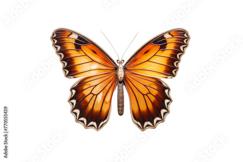 Large Orange Butterfly Flying Through the Air. On a White or Clear Surface PNG Transparent Background.