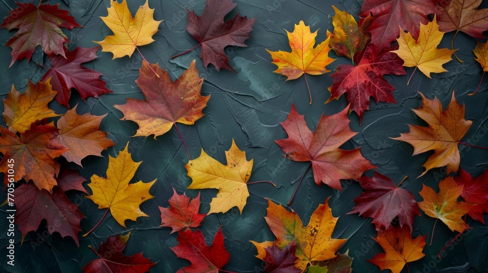 A cluster of assorted leaves laying on the dark green ground in a top-down view A cluster of assorted leaves laying on the dark green ground in a top-down view