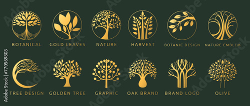 Tree logo. Icon nature, oak and olive. Circle symbol, design abstract line, branch leaves gold label, emblem vine, organic products logotype, grow botanic. Vector modern garish isolated illustration © Natalia