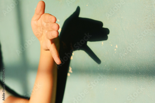 Hand showing the shadow of the dog on the wall.