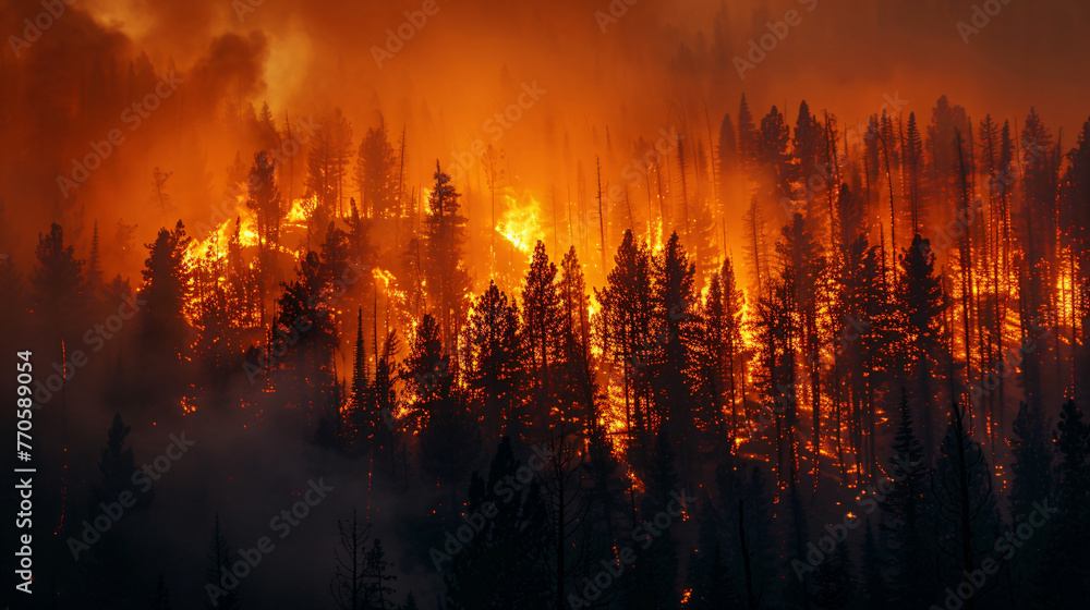 A dense forest fire raging consuming everything in its path exacerbated by dry conditions and high temperatures. - obrazy, fototapety, plakaty 