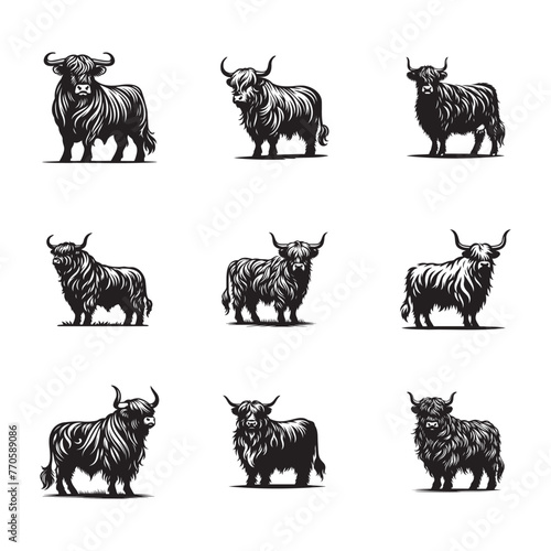 Foto Set of Nine Stylized Black and White Illustrations of Highland Cattle