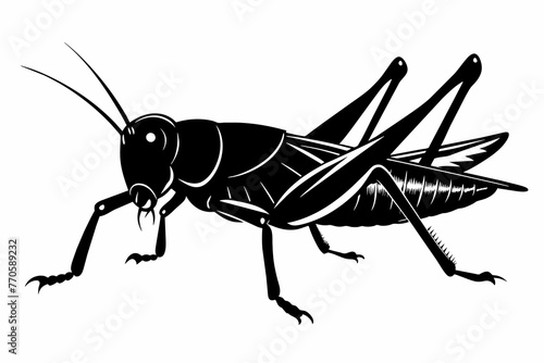 A realistic grasshopper silhouette black vector illustration