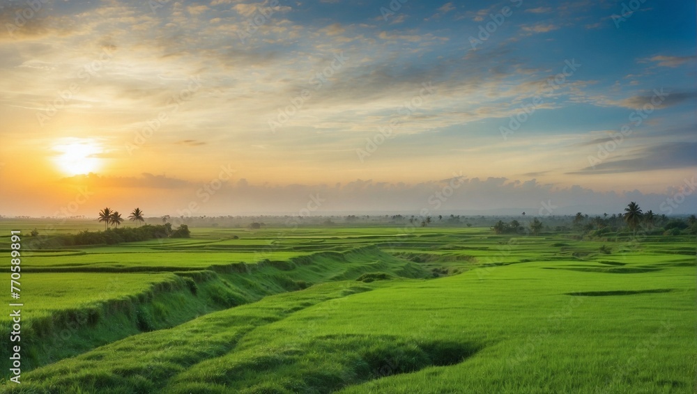 sunset over field