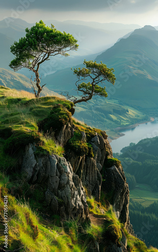 Two trees are on a rocky hillside overlooking a lake. The trees are tall and green, and the view is breathtaking. photo