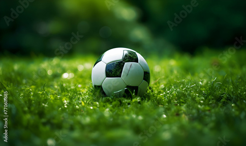 Soccer ball on green grass background. Soccer ball on the grass