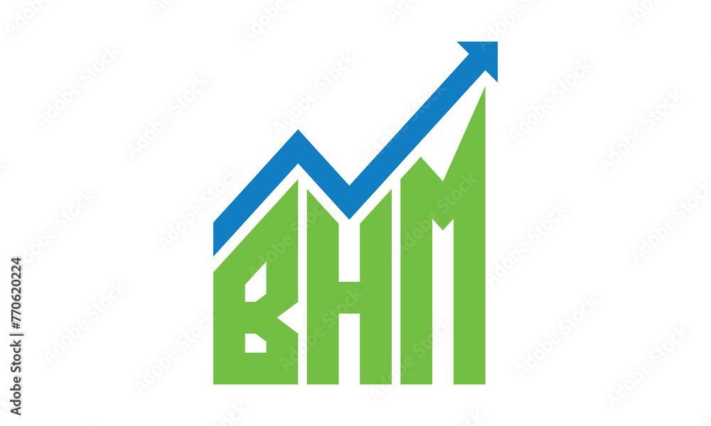 BHM financial logo design vector template. BHM financial logo design vector template.