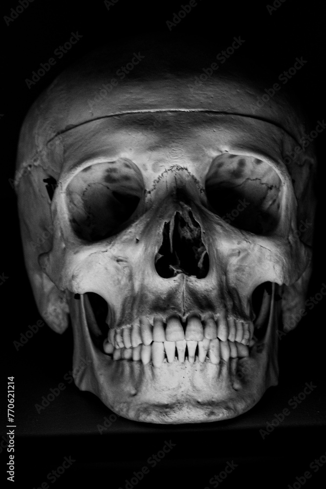 Skull painted black with teeth in darkness. - obrazy, fototapety, plakaty 