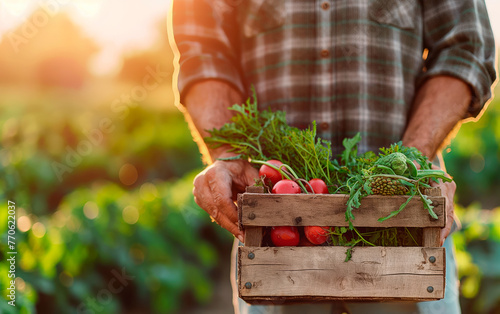 Farmer man holding a box with fresh organic vegetables and fruits wih empty space for text. photo