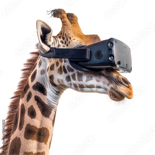 Tiger playing virtual reality isolated on transparent background, cut out, png