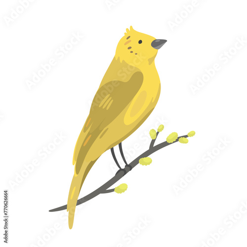 Yellowhammer sitting on a willow branch. Vector illustration.
