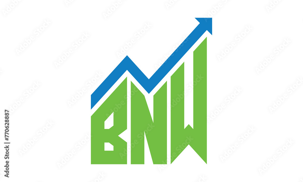 BNW financial logo design vector template. BNW financial logo design vector template.