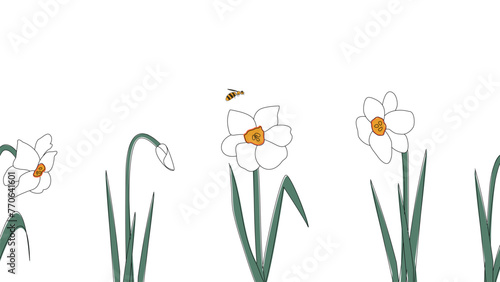 Seamless border of narcissists hand drawn in simplified children cartoon naive style on white background.Cute bee flying over flower.For design of website or shop for spring or summer.Vector illustrat