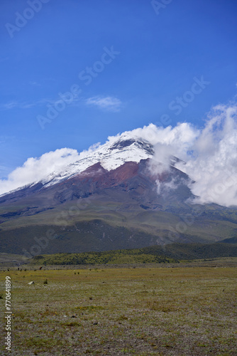 Cotopaxi volcano in Ecuador, South America, mountain with a snow summit, beautiful volcanic landscape 