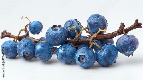 Branch laden with deliciously ripe blueberries, meticulously cut out against a clean white background
