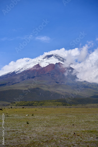 Cotopaxi volcano in Ecuador, South America, mountain with a snow summit, beautiful volcanic landscape  