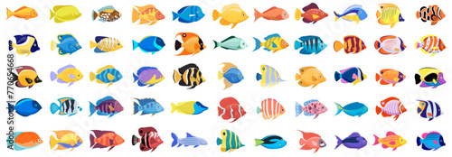 Fototapeta Naklejka Na Ścianę i Meble -  Tropical fish vector cartoon icon