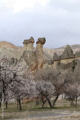 Pasabaglari Valley - Cappadoce  photo