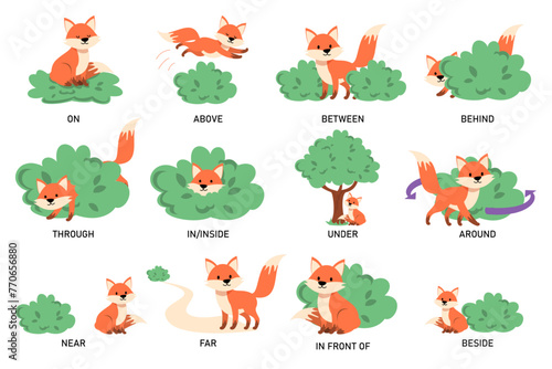 Learning English prepositions with a funny fox and green bush vector isolated. Animal character on and behind the bush. English language grammar.