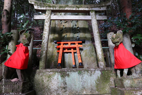 fushimi inari toris gates in kyoto japan photo