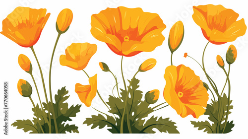 Fototapeta Naklejka Na Ścianę i Meble -  Golden Poppy or California Poppy Flower as Flowering
