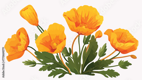 Golden Poppy or California Poppy Flower as Flowering