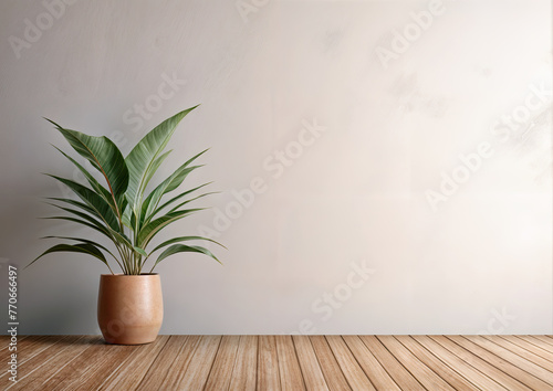 Houseplant in a pot on a wooden floor against a white wall