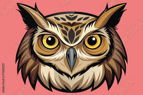 the-face-of-a-owl--high-detail---white-background.eps