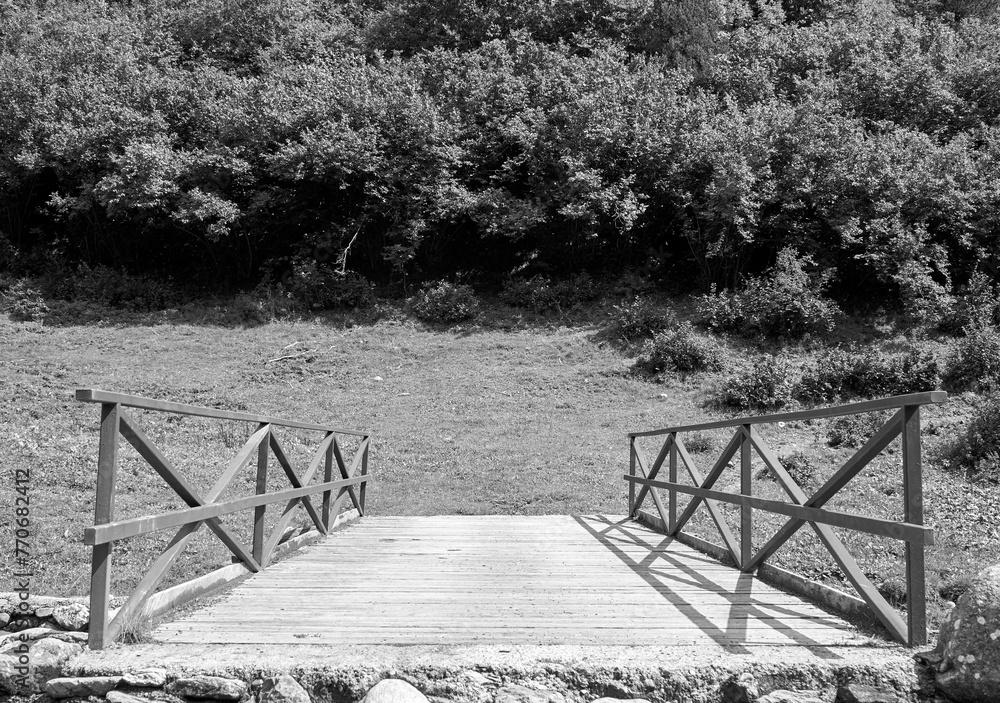 Old wooden bridge, standing out against a lush green field in the background - obrazy, fototapety, plakaty 