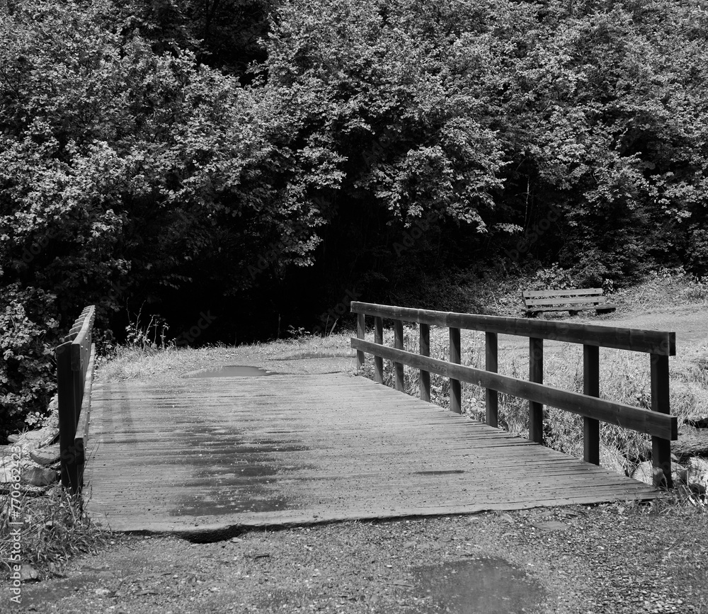 black and white photograph of an old, wooden bridge on the edge of a field - obrazy, fototapety, plakaty 