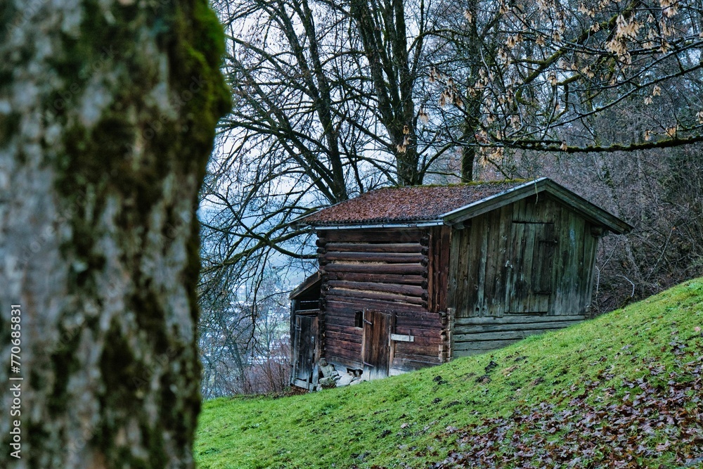 Large log cabin situated in a wooded area, with an abundance of foliage on the ground Large log cabin situated in a wooded area, with an abundance of foliage on the ground