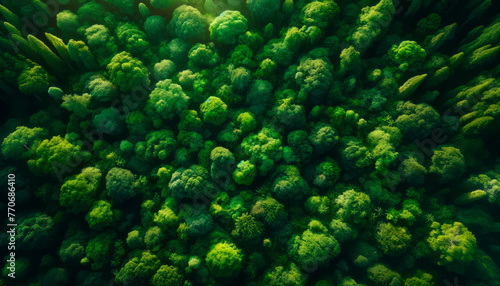 Aerial view of a dense green forest, artistic style, with sunlight filtering through, concept of nature. Generative AI