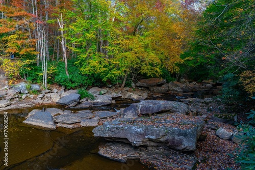 Fototapeta Naklejka Na Ścianę i Meble -  View of Babcock State Park in West Virginia features a creek surrounded by fallen leaves