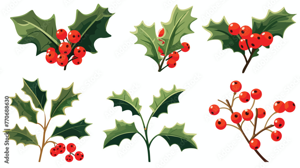 Holly Specie Twig with Red Berries and Tree Needle
