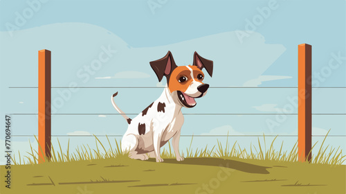 Fototapeta Naklejka Na Ścianę i Meble -  Jack russell terrier hanging on invisible fence. 
